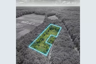 451 Pringlewood Road, Eastover, SC 29044 - Photo 7