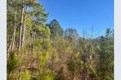 451 Pringlewood Road, Eastover, SC 29044 - Photo 3