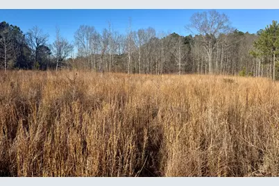 451 Pringlewood Road, Eastover, SC 29044 - Photo 5