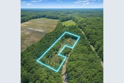 451 Pringlewood Road, Eastover, SC 29044 - Photo 19