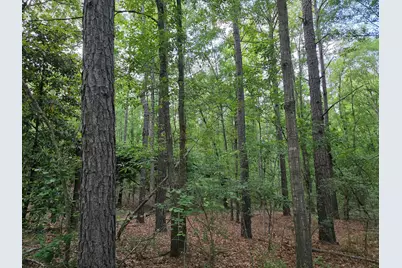20 Acres Bradleyville Road, North Augusta, SC 29841 - Photo 3