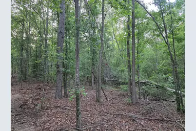 20 Acres Bradleyville Road, North Augusta, SC 29841 - Photo 1