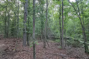 20 Acres Bradleyville Rd, North Augusta, SC 29841 - Photo 1