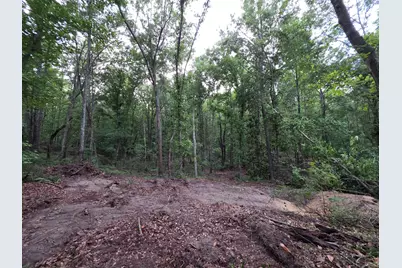 28 Acres Bradleyville Road, North Augusta, SC 29841 - Photo 5