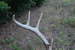 28 Acres Bradleyville Rd, North Augusta, SC 29841 - Photo 1