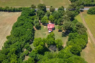 357 Williston Rd, Beech Island, SC 29842 - Photo 3