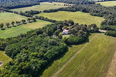 357 Williston Road, Beech Island, SC 29842 - Photo 63
