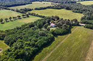 357 Williston Rd, Beech Island, SC 29842 - Photo 63