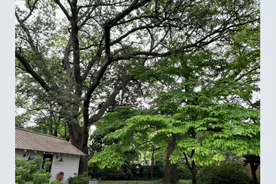 342 Marion Street SE, Aiken, SC 29801 - Photo 35