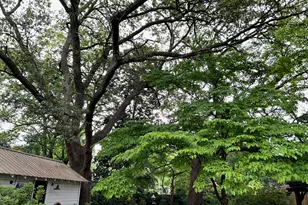 342 Marion St SE, Aiken, SC 29801 - Photo 35