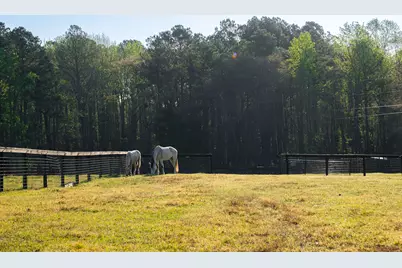 708 New Bridge Road, Aiken, SC 29805 - Photo 39