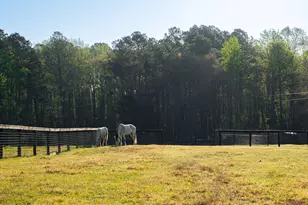 708 New Bridge Rd, Aiken, SC 29805 - Photo 39