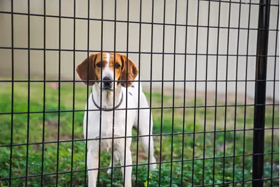 708 New Bridge Road, Aiken, SC 29805 - Photo 31