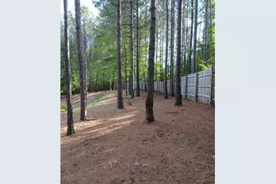 1147 Scarborough Pass, Aiken, SC 29801 - Photo 53