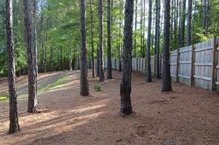 1147 Scarborough Pass, Aiken, SC 29801 - Photo 53