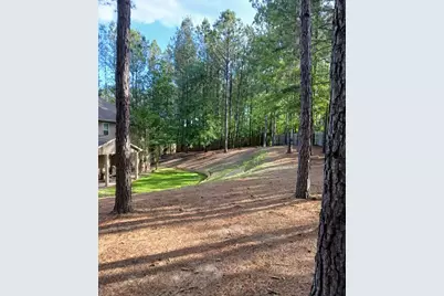 1147 Scarborough Pass, Aiken, SC 29801 - Photo 51