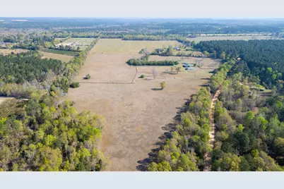 252 Moseley Road, Williston, SC 29853 - Photo 63