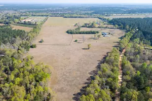 252 Moseley Rd, Williston, SC 29853 - Photo 63