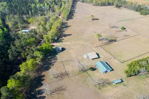 252 Moseley Rd, Williston, SC 29853 - Photo 57