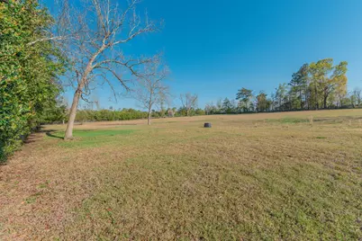 252 Moseley Road, Williston, SC 29853 - Photo 55