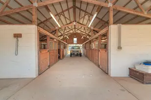 252 Moseley Rd, Williston, SC 29853 - Photo 21