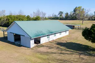 252 Moseley Rd, Williston, SC 29853 - Photo 17