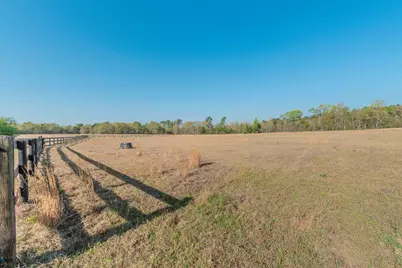 252 Moseley Road, Williston, SC 29853 - Photo 51