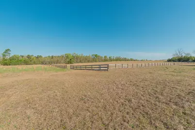 252 Moseley Road, Williston, SC 29853 - Photo 53