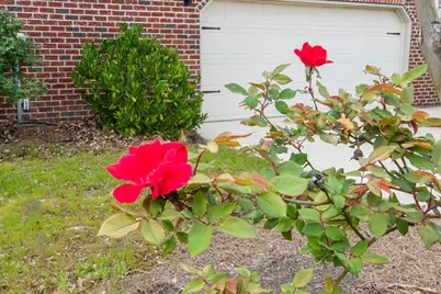 2403 Sunflower Drive, Evans, GA 30809 - Photo 29