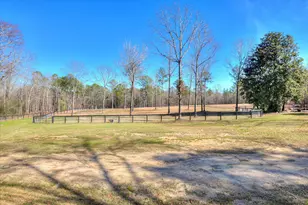 400 Rish Store Rd, Wagener, SC 29164 - Photo 41