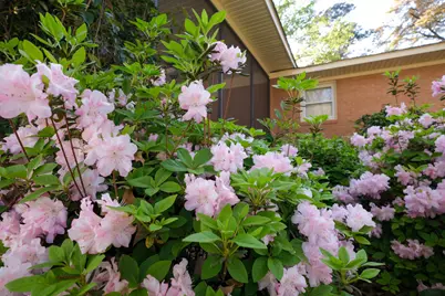 842 Calhoun Place SE, Aiken, SC 29801 - Photo 27