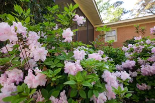 842 Calhoun Pl SE, Aiken, SC 29801 - Photo 27