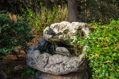 536 Ashbury Drive, Aiken, SC 29803 - Photo 35