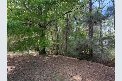 103 Peach Street, Denmark, SC 29042 - Photo 3