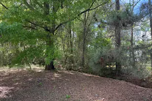 103 Peach St, Denmark, SC 29042 - Photo 3