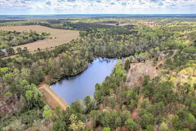 0 Courtney Road, Trenton, SC 29847 - Photo 13