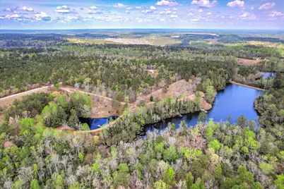 0 Courtney Road, Trenton, SC 29847 - Photo 19