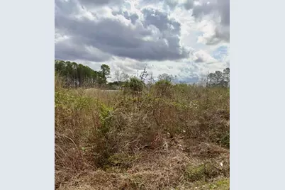 290 Ashwood Street SE, Orangeburg, SC 29115 - Photo 5