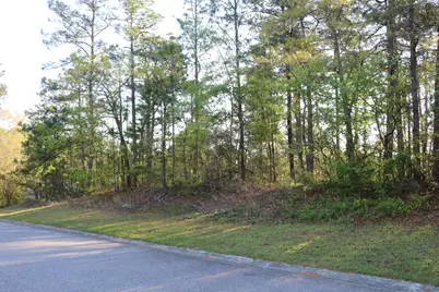 80 Hemlock Court, Aiken, SC 29803 - Photo 3