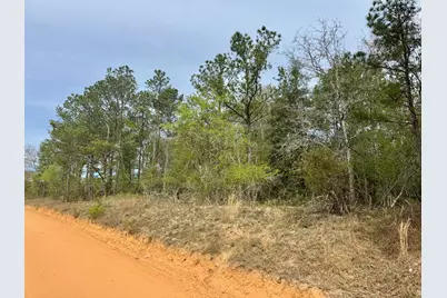 0 Goose Platter Road, Monetta, SC 29105 - Photo 3