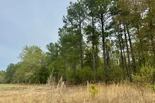 0 Goose Platter Rd, Monetta, SC 29105 - Photo 1