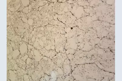 605 Clarendon Place, Aiken, SC 29801 - Photo 15