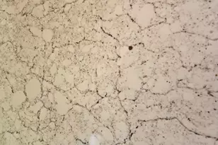 605 Clarendon Pl, Aiken, SC 29801 - Photo 15