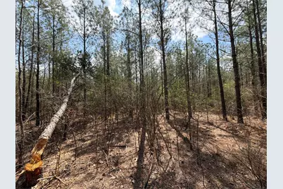 Cva 1 Mount Calvary Road #Cva 1, Ridge Spring, SC 29129 - Photo 17