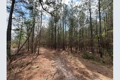 Cva 1 Mount Calvary Road #Cva 1, Ridge Spring, SC 29129 - Photo 7