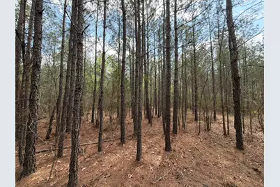 Cva 1 Mount Calvary Road #Cva 1, Ridge Spring, SC 29129 - Photo 29