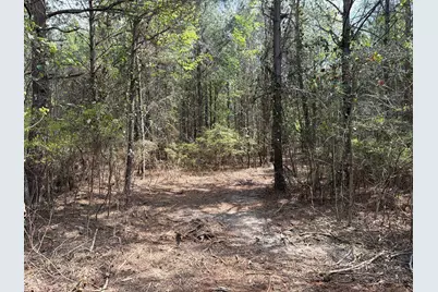 Cva 1 Mount Calvary Road #Cva 1, Ridge Spring, SC 29129 - Photo 47