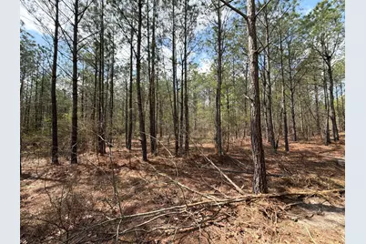 Cva 1 Mount Calvary Road #Cva 1, Ridge Spring, SC 29129 - Photo 19