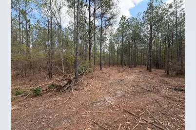 Cva 1 Mount Calvary Road #Cva 1, Ridge Spring, SC 29129 - Photo 39