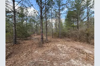 Cva 1 Mount Calvary Road #Cva 1, Ridge Spring, SC 29129 - Photo 3